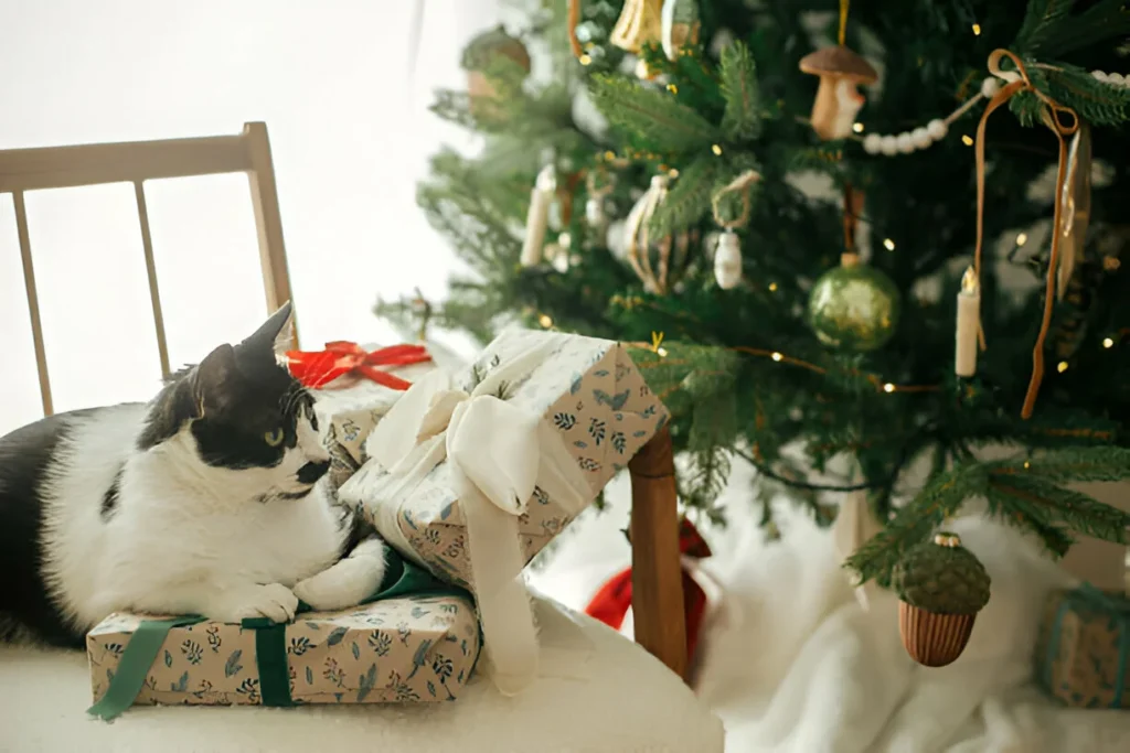 Pet-Proofing Your Christmas Tree: Tips for a Safe Holiday