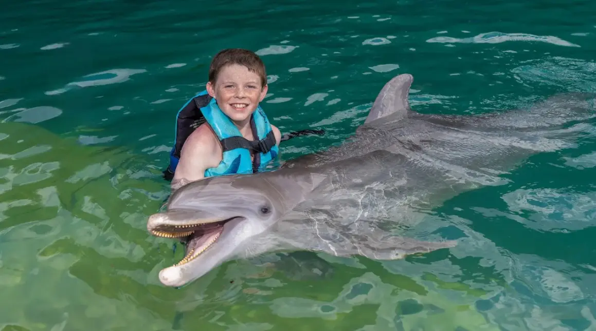 Discovering Dolphin Cove Ocho Ríos A Jamaican Gem You’ll Never Forget